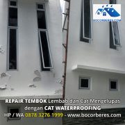 Perbaikan Kebocoran Dinding House of Xavier